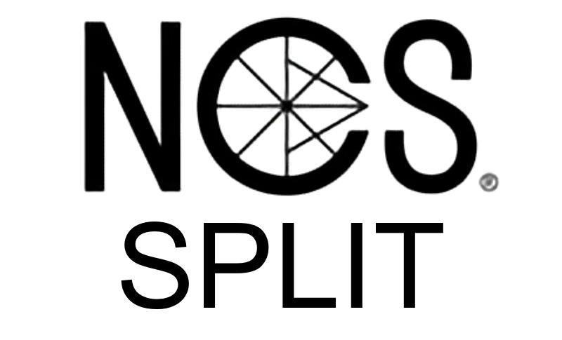 Ncs Colors Split logo